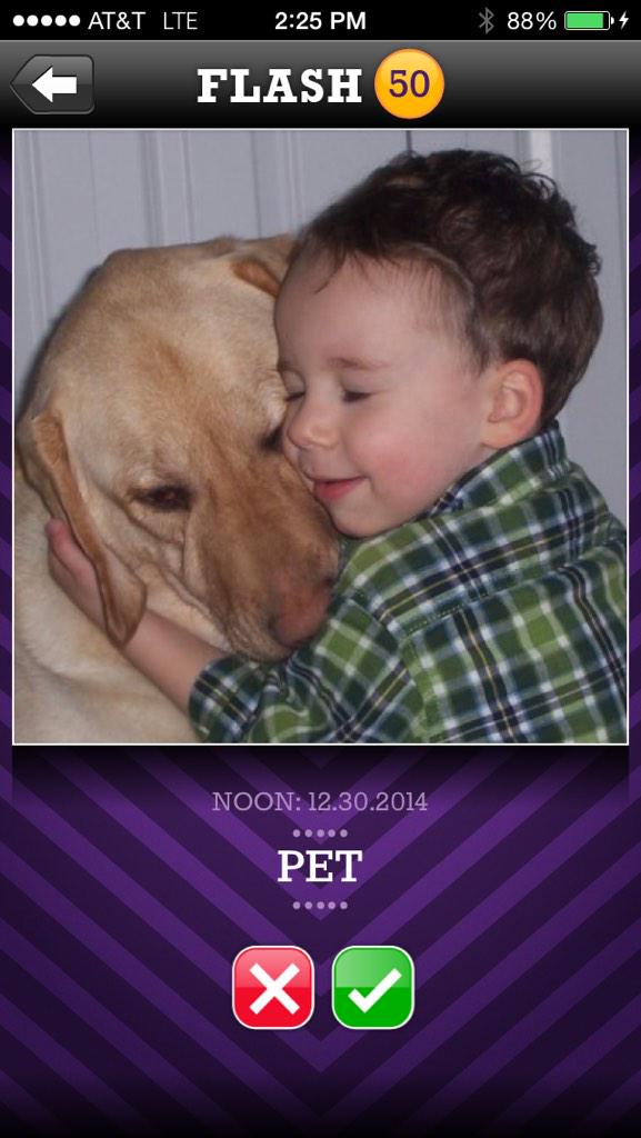 PicSlinger's tweet image. You're posting your cat pictures anyway... #pet #flash50