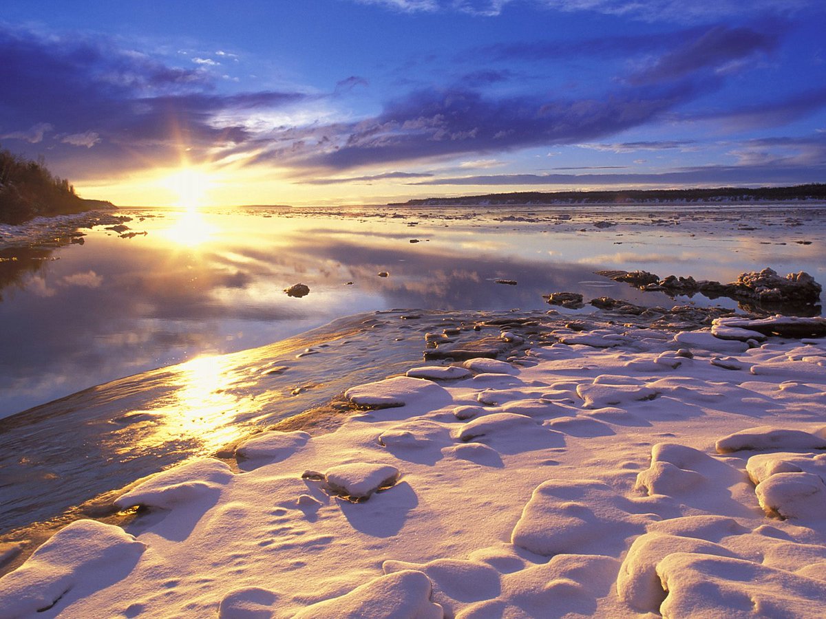 NaturePics tweet media