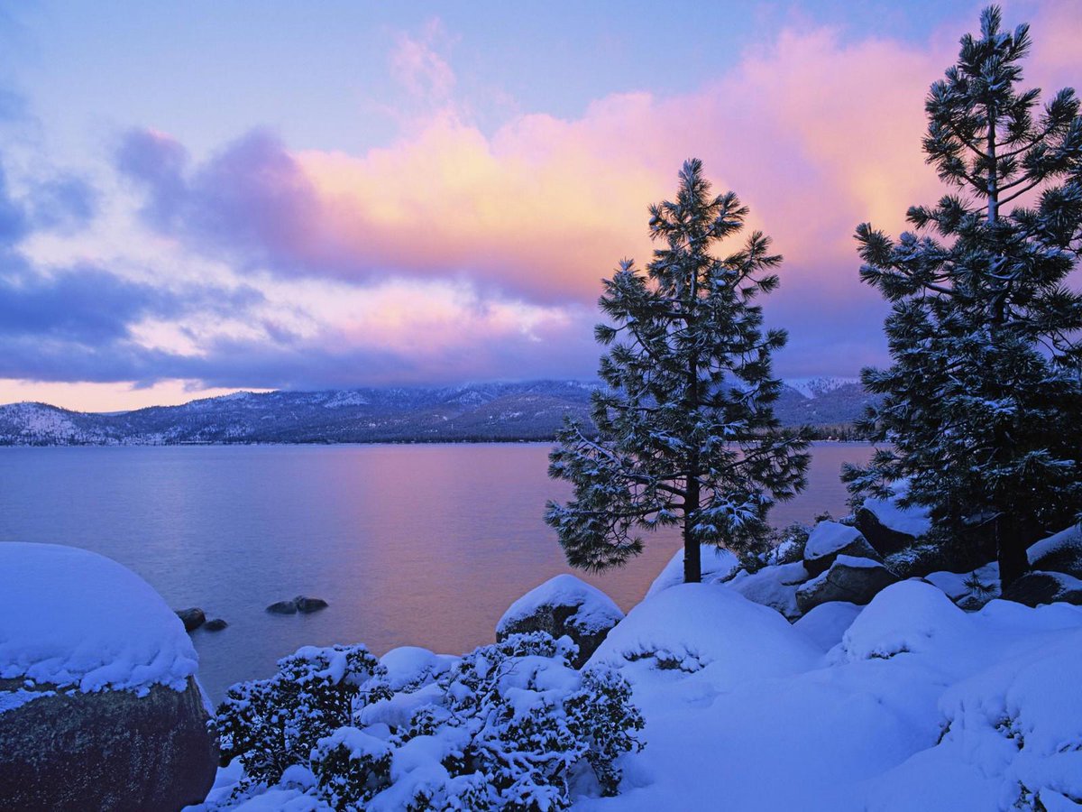 NaturePics tweet media