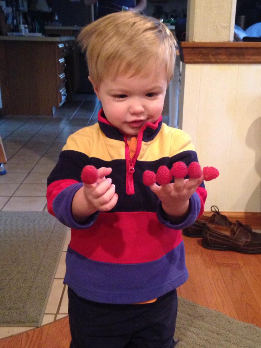 Someone convinced their uncle to give them raspberries....and is delighted about it!! #raspberryfingers