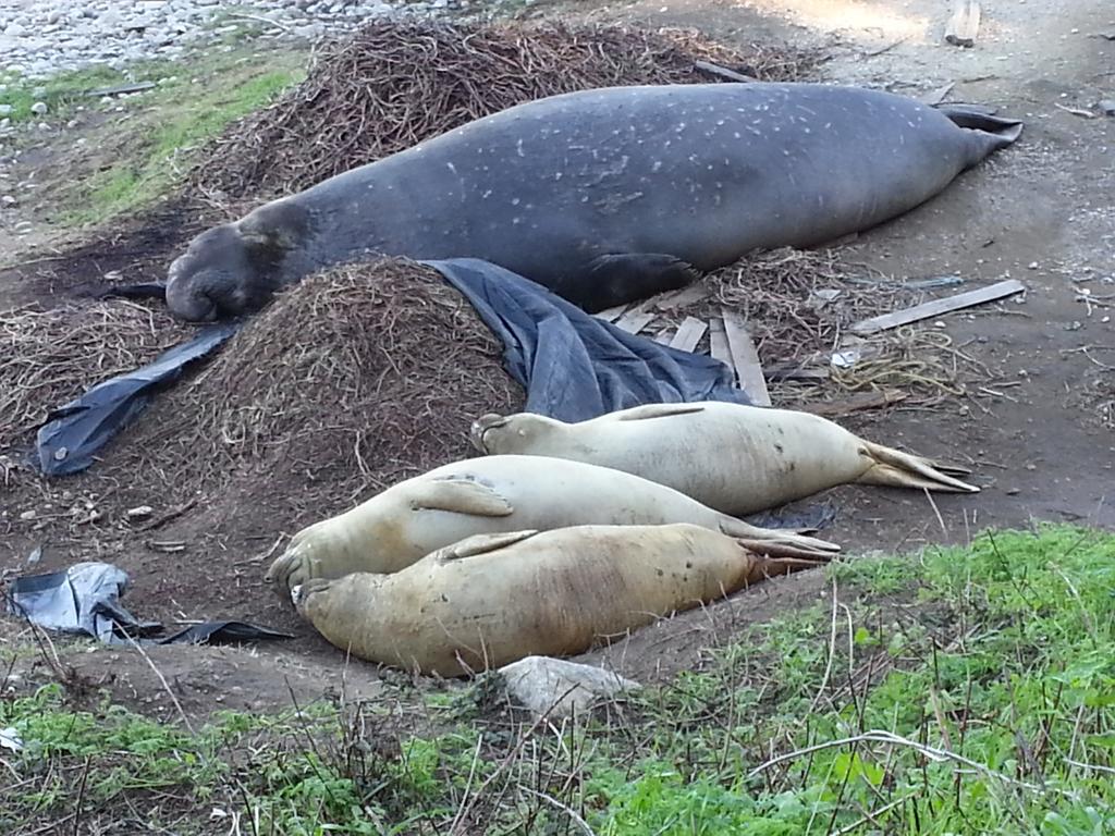 Derek Moore tweet media