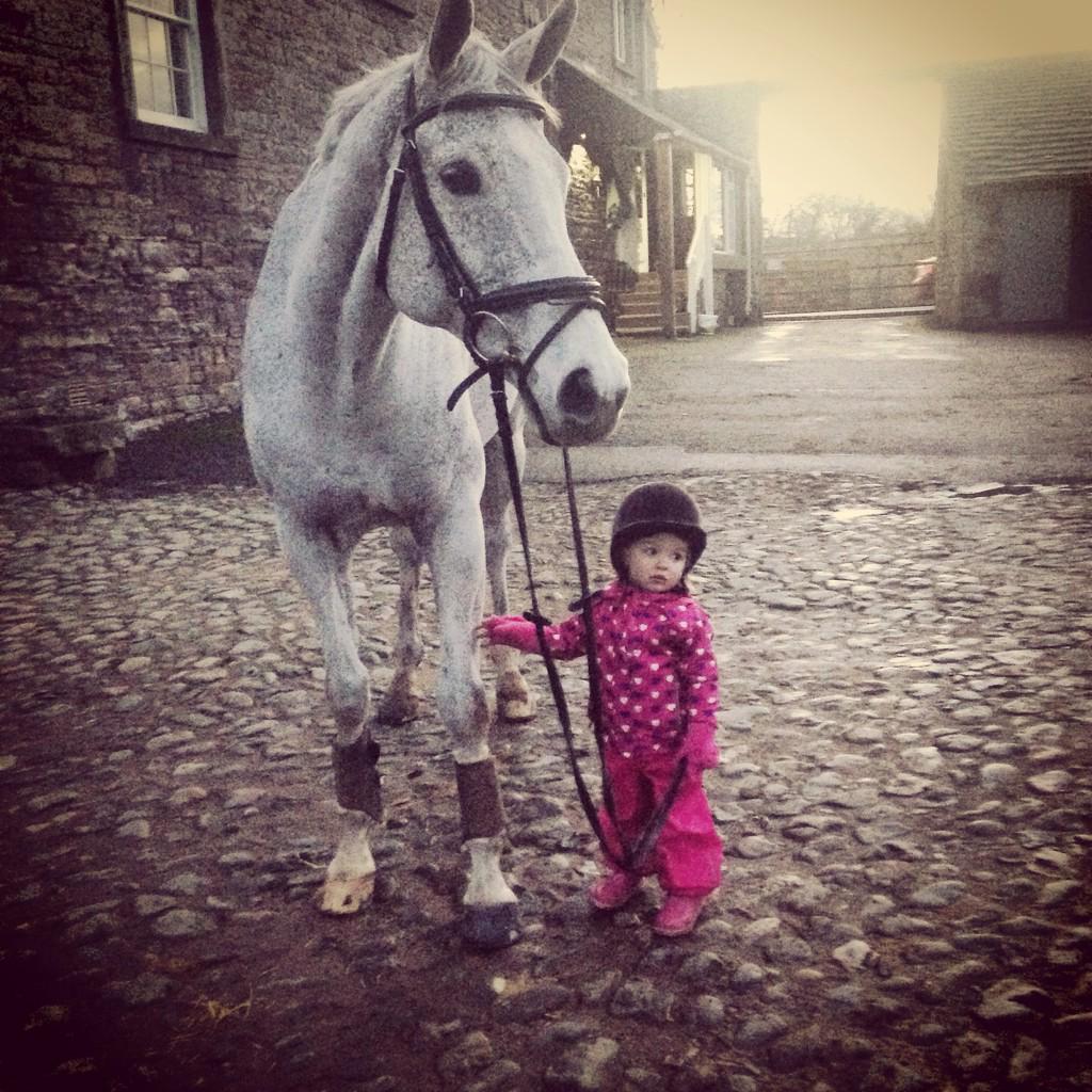 Robyn Gray tweet media