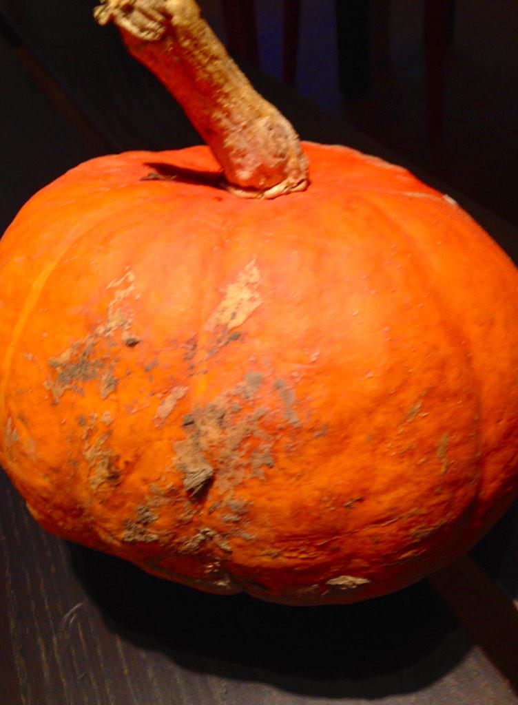 BookMasala's tweet photo. Marre de la courge? De nouvelles idées très bientôt sur masalabook.fr! Abonnez-vous !! #untoursurmasalabook.fr http://t.co/sPlAo4BwxR