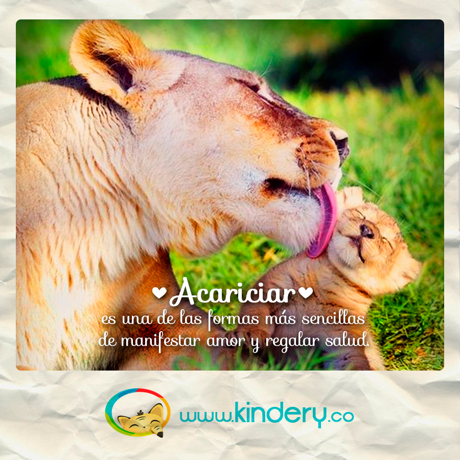 KinderyApp tweet picture