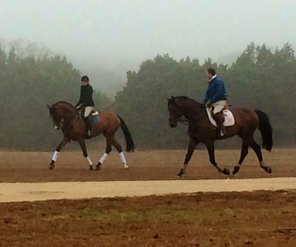 katepropagates's tweet photo. Took the boys out this morning in the mist! #ridingslip http://t.co/dyZcEwrHKd