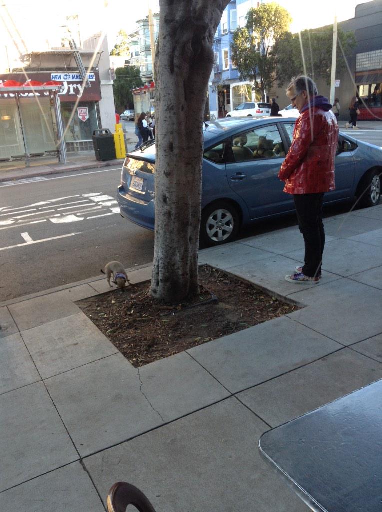 AndreaKuszewski's tweet photo. Isn't this guy concerned about that dog running into the street & getting run over by a bus? #SF #UseALeash #FFS http://t.co/SQIAz5W78g