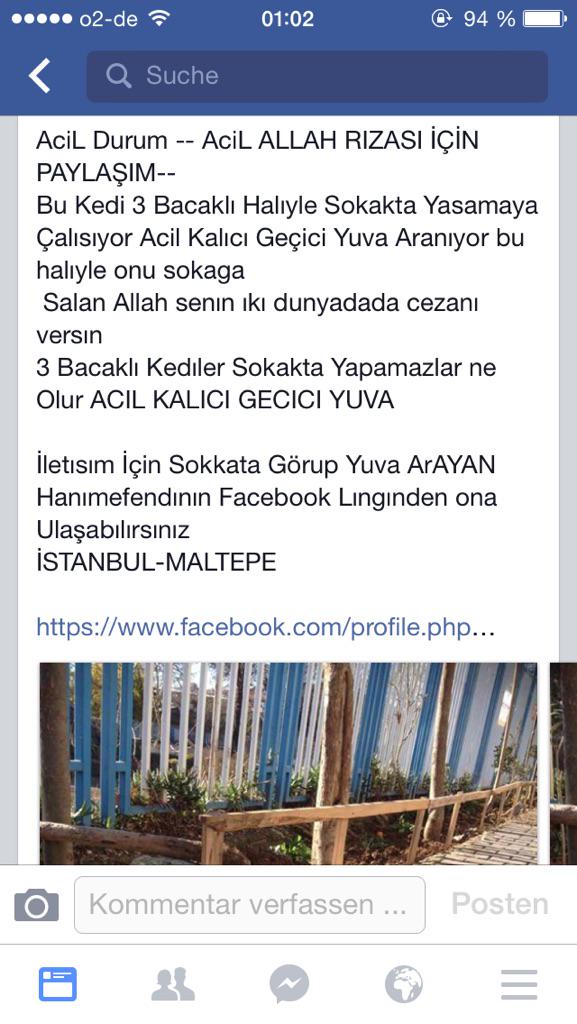 TCylz's tweet photo. ACIL YUVA IST MALTEPE!!@evsiz_hayvanlar @YuvaAriyorum @hayvandostlar1 @sosyopet @sokakcanlari @AcilYuva @haysevder http://t.co/QL7F23AeCt