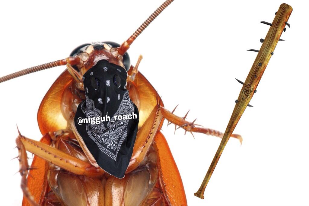 nigguh_roach's tweet image. “@AjebutterTweets: can't sleep cos am roach hunting”

Ima beat yo bítch aśs.