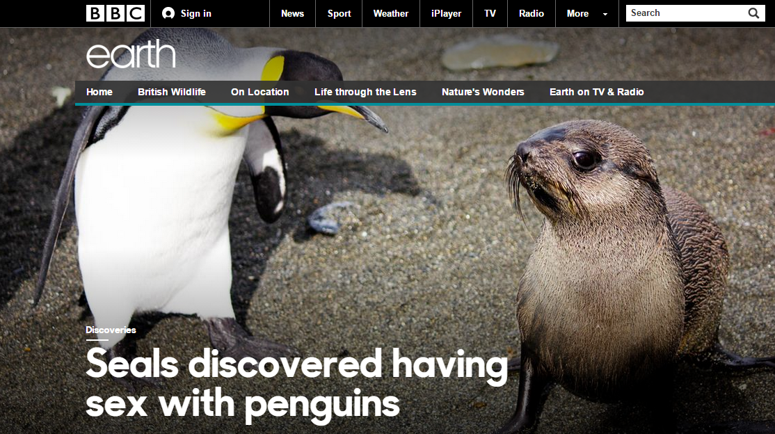 BBC News (World) tweet media