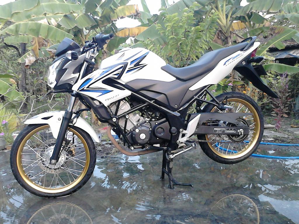 Si putih uda bangun lagi. Waktunya nyari mas tempho 😄