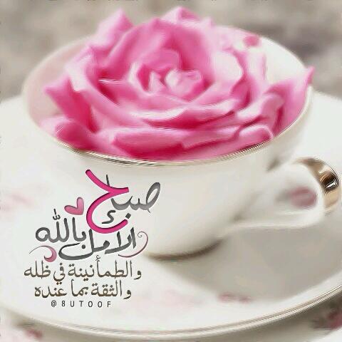 Hayei123's tweet photo. صباح الأمل بالله والطمأنينة في ظلة والثقة بما عنده  ،، http://t.co/ONoRum3y07