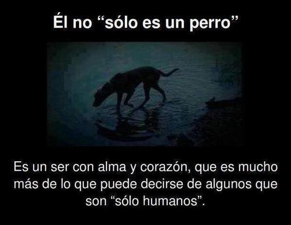 _Paisajes_'s tweet photo. El no "solo es un perro" http://t.co/As3u3SZqy2