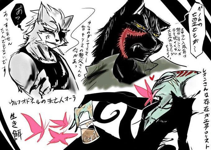 すたうるふ 