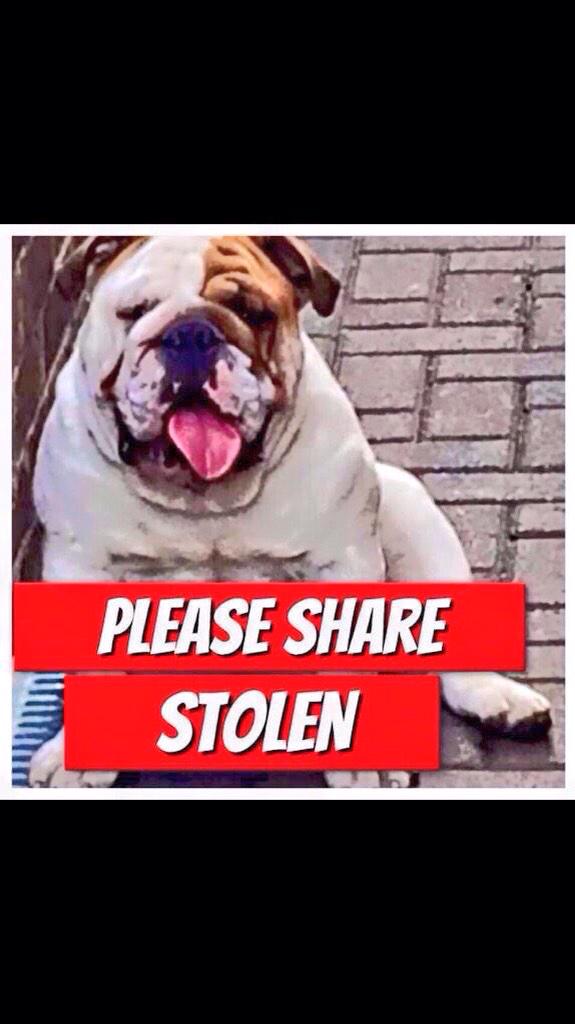 Football Away Fans (footy_away_fans) Twitter