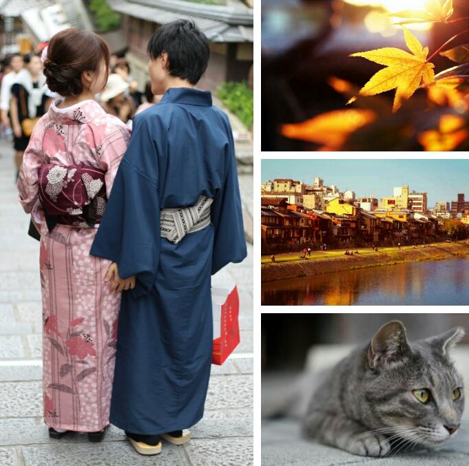 よしやす☞写真 tweet media