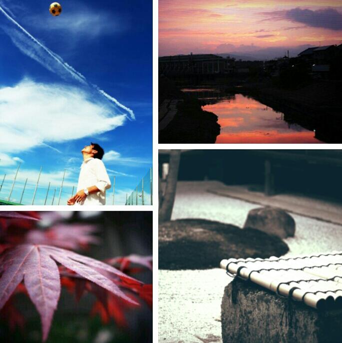 よしやす☞写真 tweet media