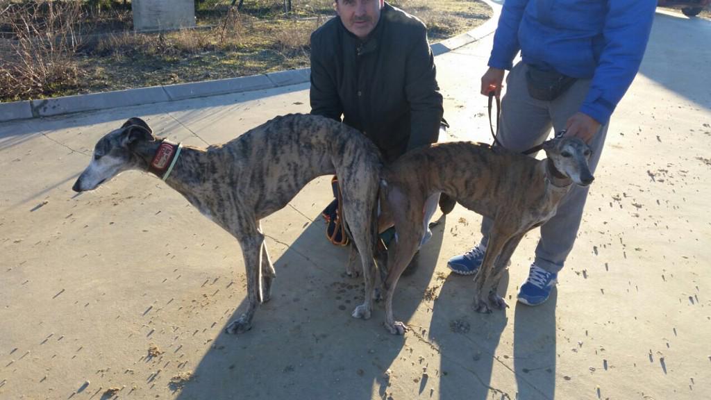 ionpira's tweet photo. Viaje galguero de la #peñaElOlivo para terminar el 2014 #GLORIAxJUDAS #FUTURAxDISTINTO #PedroMontes #galgossevillana http://t.co/ZldmlkMM1D