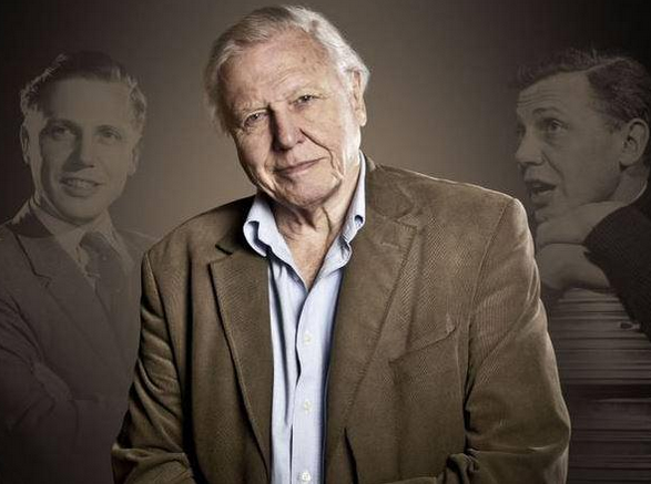 Independent's tweet photo. Exclusive: David Attenborough warns human beings may be an endangered species
http://t.co/aBkV6etqGK http://t.co/e4rmqTwbCj