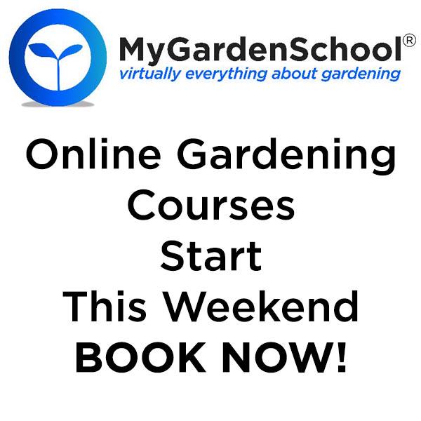 Garden_Courses's tweet photo. New #Gardening Classes Start This Weekend http://t.co/k3pGpn96kK.... BOOK NOW!  http://t.co/EEechToFh9