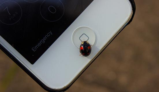 Web Managers Group tweet media