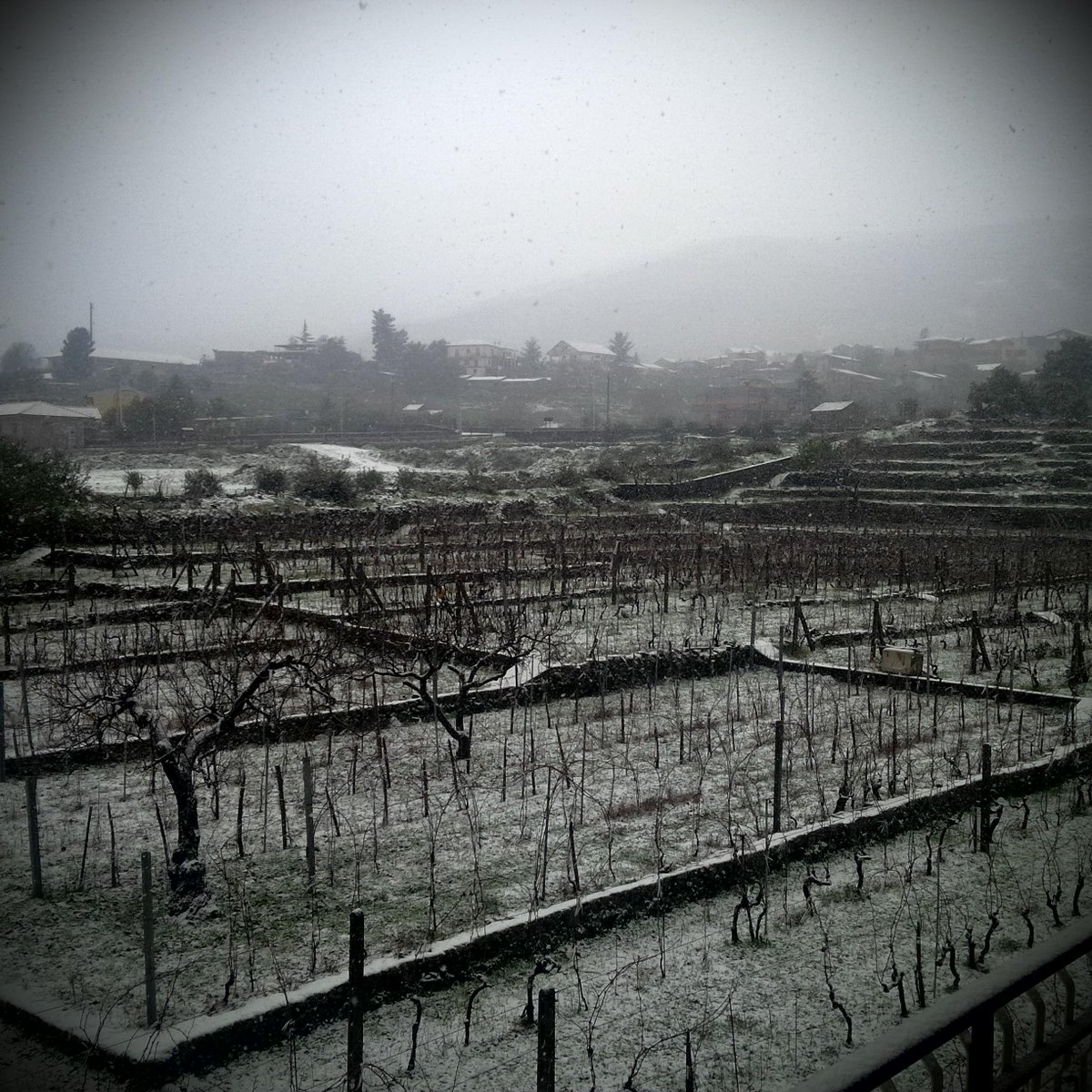 etnaroccadapi's tweet image. StorieDiUnTerritorioUnico#ETNA#etnaroccadapi.it