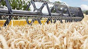 FarmersWeekly's tweet image. Our commodities outlook guides 2015 will keep you prepared for livestock &amp;amp; crop market shifts bit.ly/1xvydLw