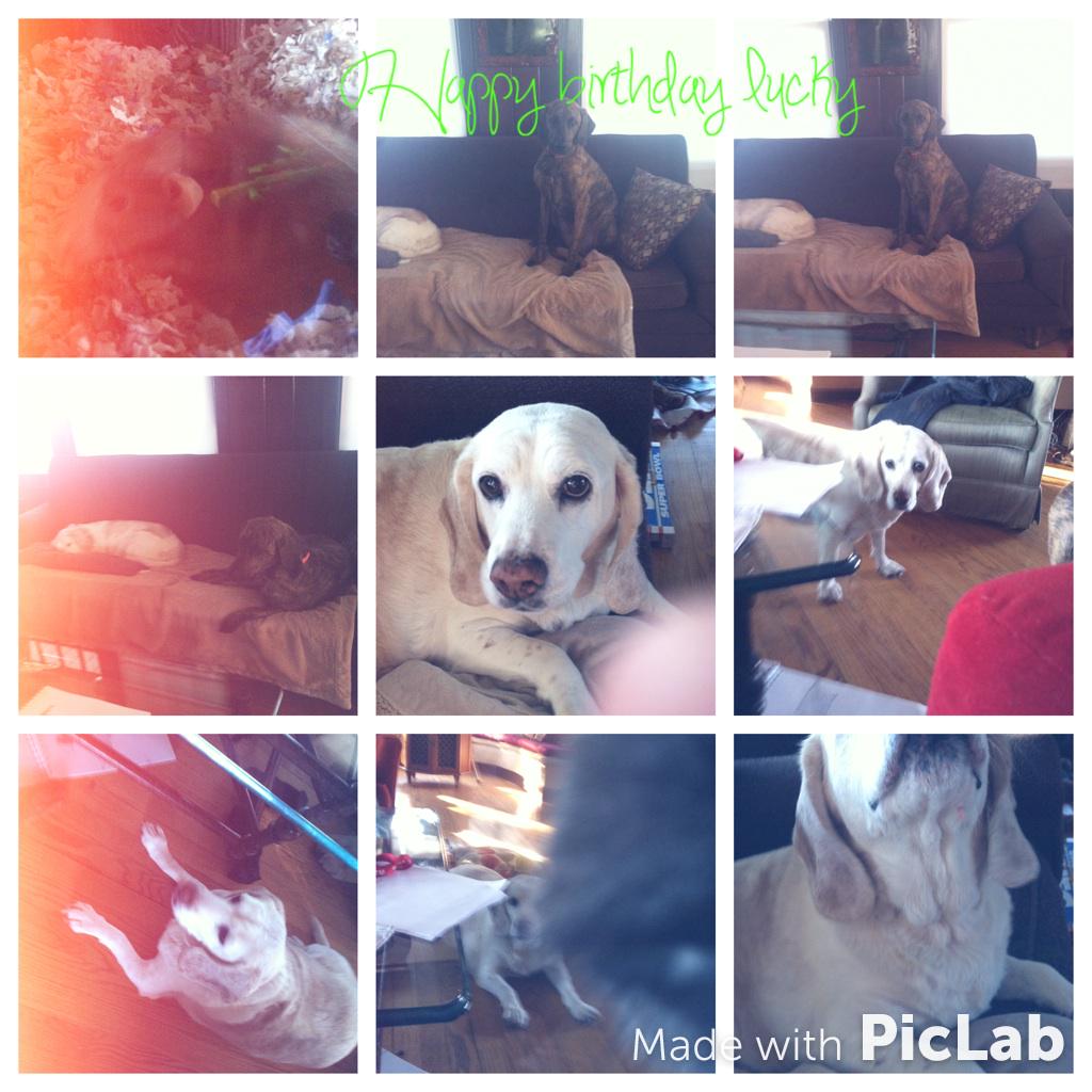 JcNapper's tweet image. I edited this pic with PicLab @piclabapp #piclab