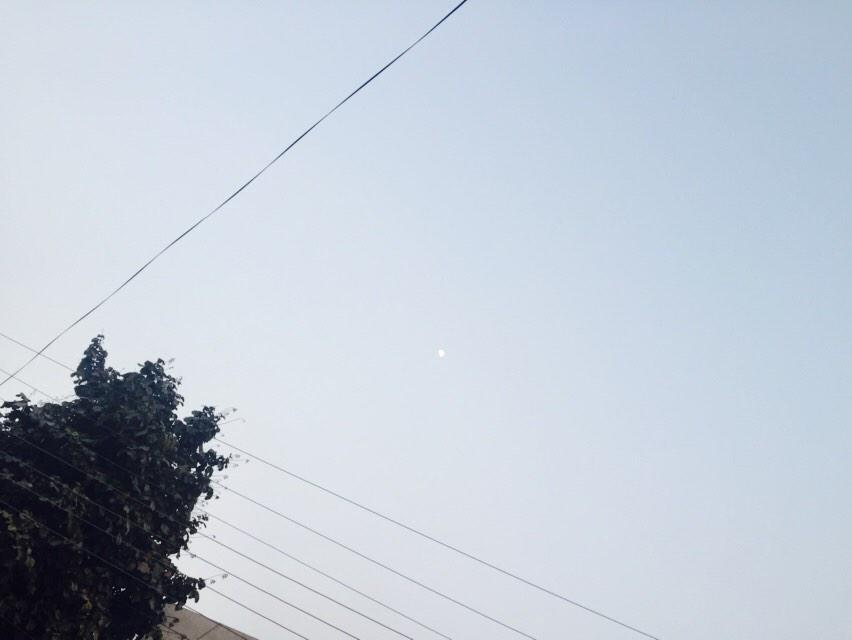 IamShehbaz's tweet image. #2014EndsWith