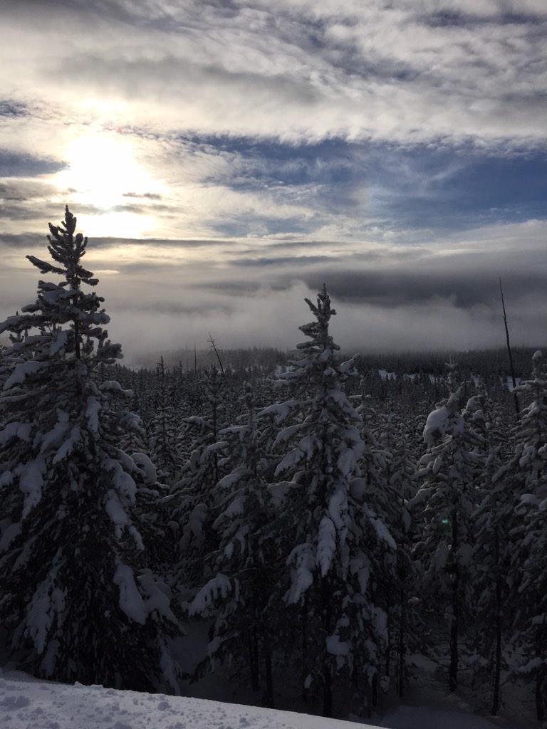 falbey's tweet photo. My favorite photo I've taken on my phone so far in Yellowstone. http://t.co/wudCfVaA9X