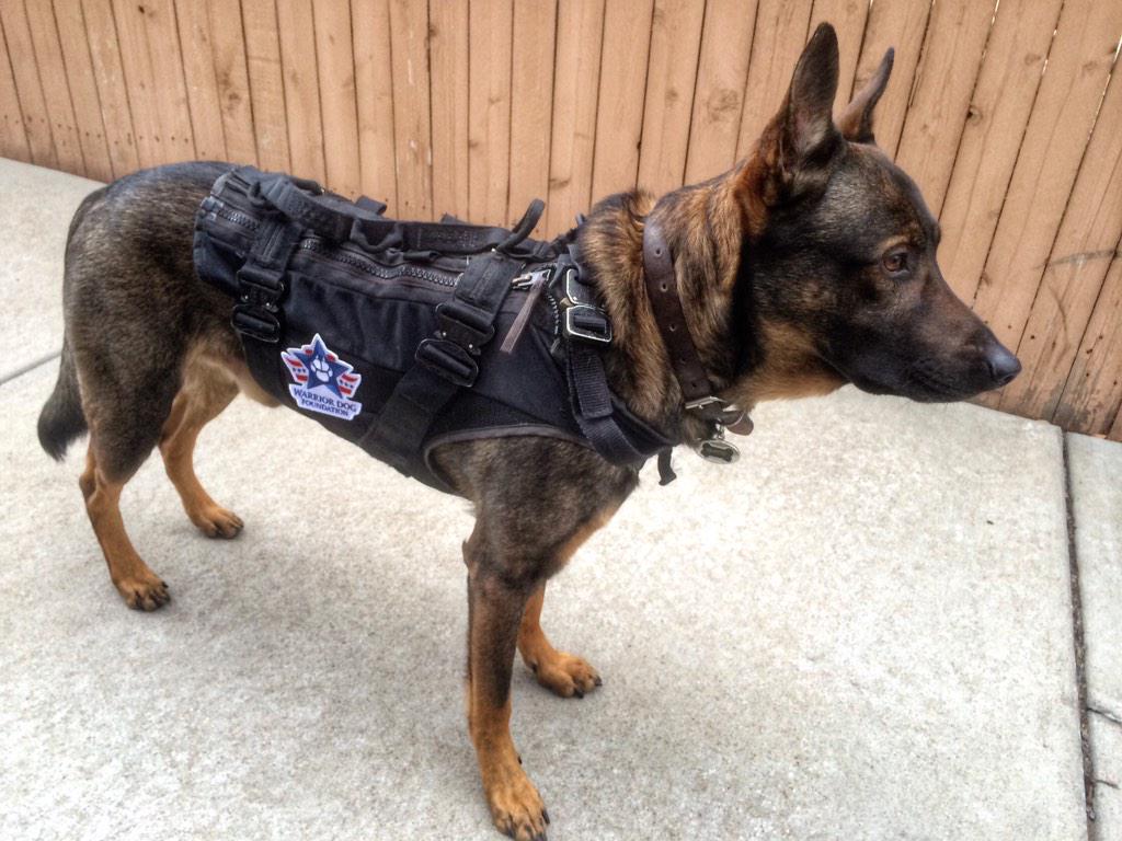 WarriorDogs's tweet image. Today is the last day to purchase your WDF patch or make a year-end tax deductible donation. 
on.fb.me/1zvVat5