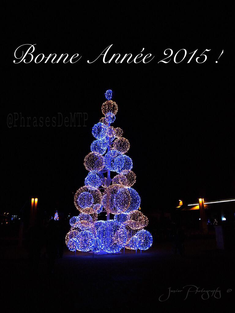 PhrasesDeMTP's tweet photo. @PhrasesDeMTP vous souhaite une bonne et heureuse année 2015 !! 1800 followers avant 2015 un grand merci !!! #MTP34 http://t.co/8pqPiH61aS