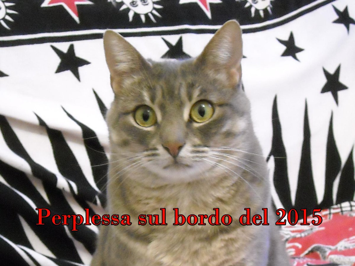 Domenico De Martino (@dema_fi) on Twitter photo 