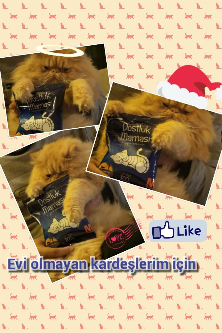 SSevdaSevdaA's tweet photo. @KanalD #mutlulugunresmi http://t.co/z1JVJPXqNt