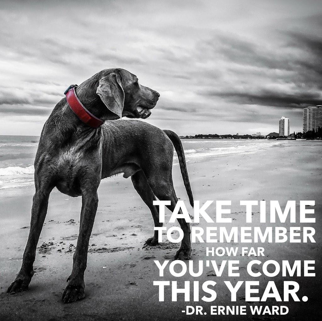 DrErnieWard's tweet photo. Take time to remember how far you've come this year. #bestmemoriesof2014 http://t.co/BPb7G1irBz