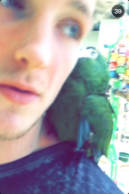 😵😦 Cheating on Maverick?!? How could you😭😰😪 @MaverickParrot @LoganPaul http://t.co/6CvzUHJ0w7<a class="tags" target="_blank" title="On Twitter" href="/?out=eyJ0eXAiOiJKV1QiLCJhbGciOiJIUzUxMiJ9.eyJpYXQiOjE3MjIxODE0NDUsImlzcyI6InR3cG9ybnN0YXJzLmNvbSIsIm5iZiI6MTcyMjE4MTQ0NSwiZXhwIjoxNzUzNzE3NDQ1LCJyZWRpcmVjdF91cmwiOiJodHRwczovL3R3aXR0ZXIuY29tL01hdmVyaWNrUGFycm90In0.p-t_6j-oql0LN2Zv236pwdKCA6M3LO5vgfmkgAHa_WHO3Z4bmuFV3QFUYQZglnY_lS2mWlGlAInmZW8HmhQQFQ">@MaverickParrot</a><a href="/tag/selfieforjared"class="tags"><span>#selfieforjared</span></a>