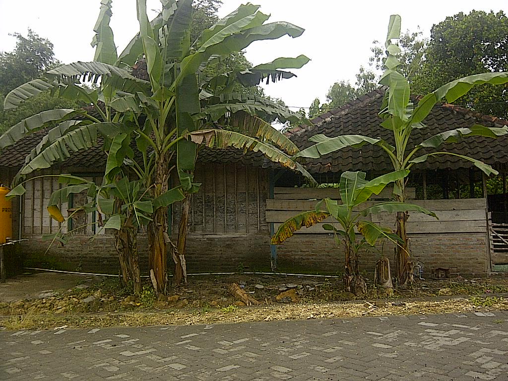 Winbagonk's tweet photo. Kami tgg. partisipasi anda, Masjid Baiturrohman via BRI Capem Gayam Acc. 3839-01-021920-53-0 a/n. Masjid Baiturrohman http://t.co/fLFOObaOc8