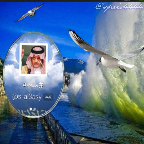sweetharabsa tweet picture