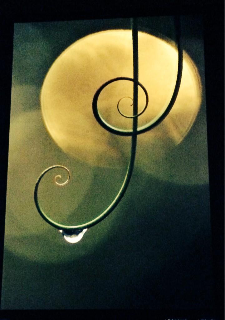 WiredFolk's tweet photo. Inspiring photo showing where music meets nature :) http://t.co/3Ihz3NsEMC