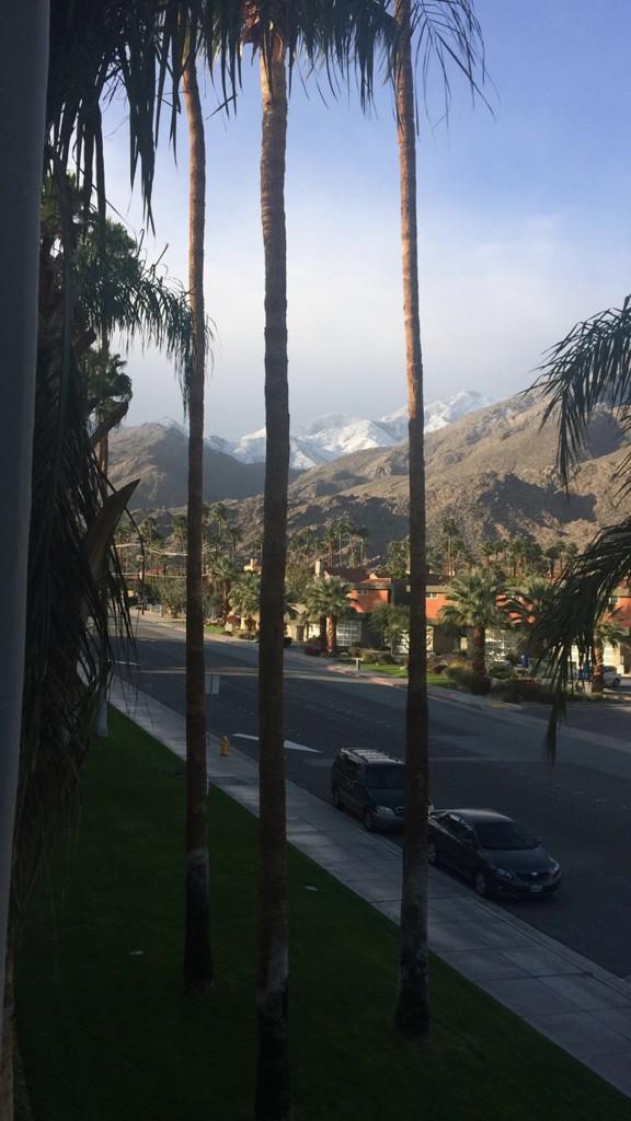 Hello_Emilee23's tweet photo. Good morning from Palm Springs 😊🌴 http://t.co/SBfH7roC1x