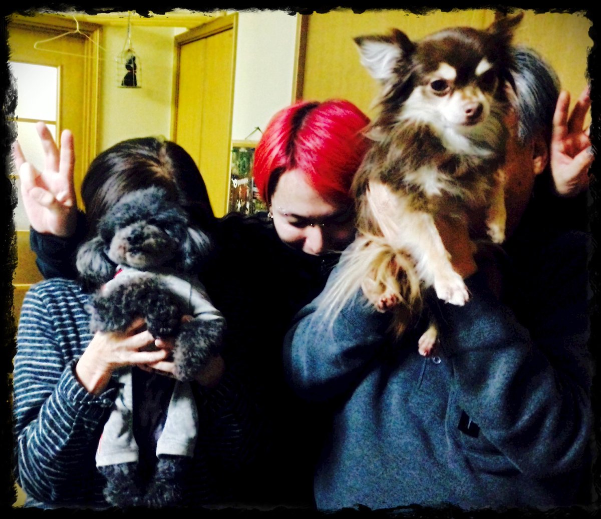 Myako Hitsu Nightmare あけおめ Nightmareハビバ 柩 両親 愛犬 地元友達 Http T Co Ko4xkptbnh 素敵な息子さんですね 柩さん Myako Hitsu Nightmare あけおめ Nightmareハビバ 柩 両親 愛犬 地元友達 Http T Co Ko4xkptbnh 素敵な息子さんですね 柩さん