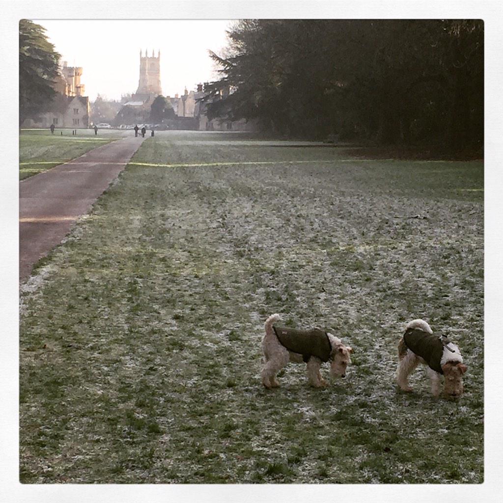 MaisieTillyWFT's tweet photo. We az ad a New Years Eve walk into Cirencester #nicee #partytimenow http://t.co/GdX4pAcQn5