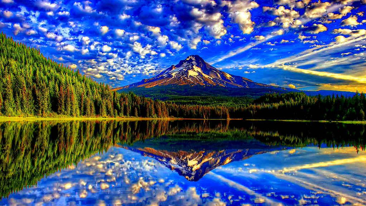 WorldAmazing365 tweet picture