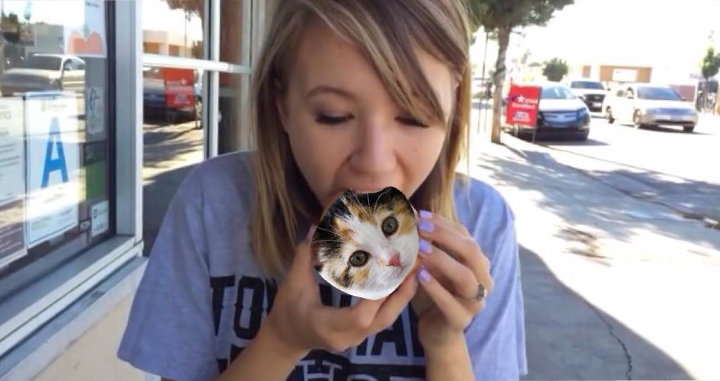 kalelthoughts's tweet photo. Don't forget desert!!! #EatCatsNotCows http://t.co/J8QNQXoj83