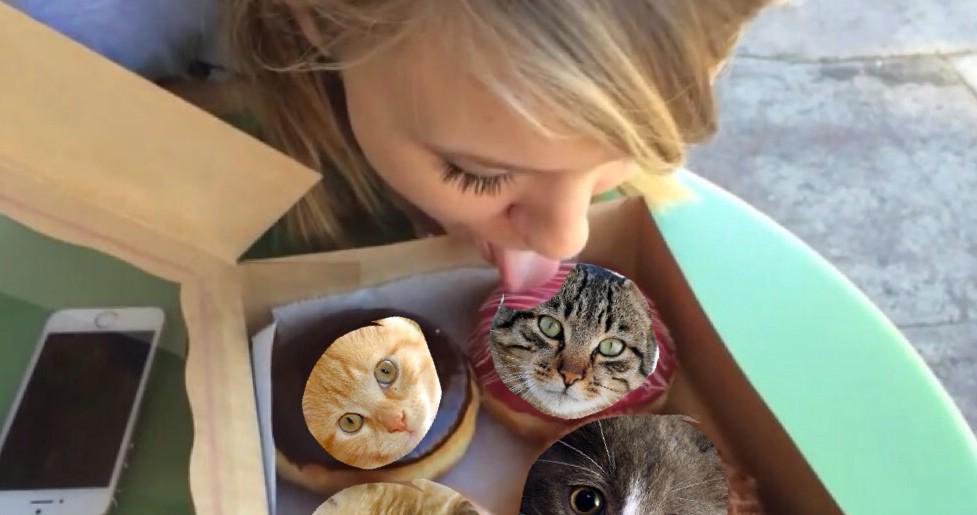 kalelthoughts's tweet photo. Don't forget desert!!! #EatCatsNotCows http://t.co/J8QNQXoj83