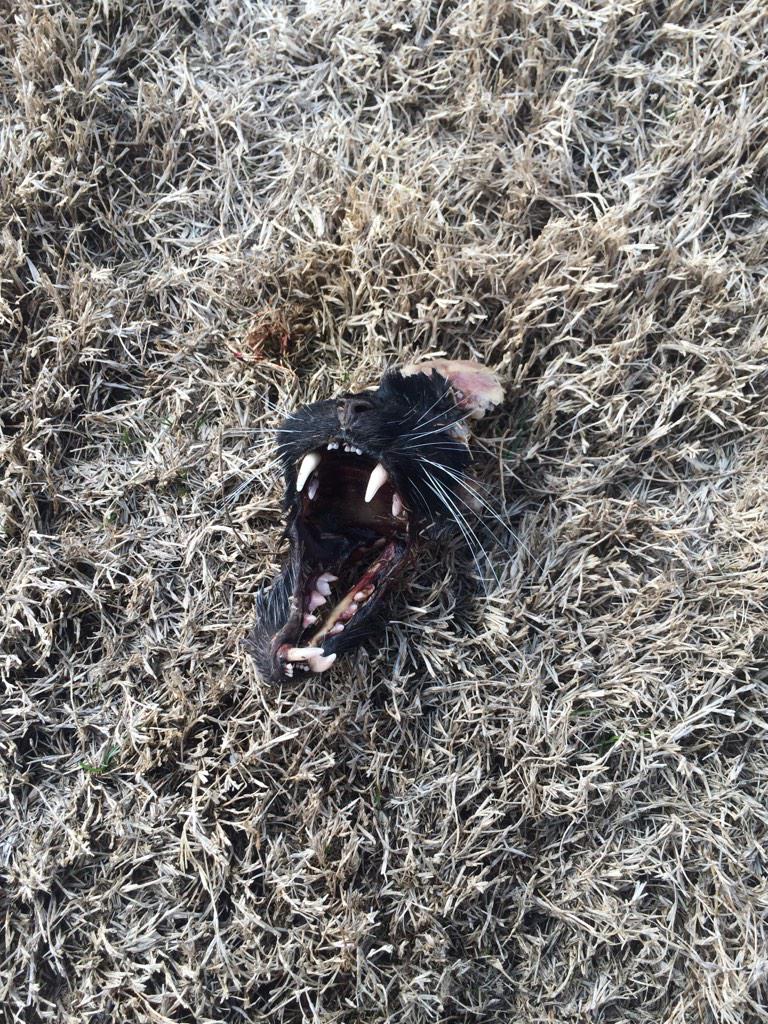 nbutton22's tweet image. I have a lot of questions...