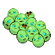 pokexperto tweet picture