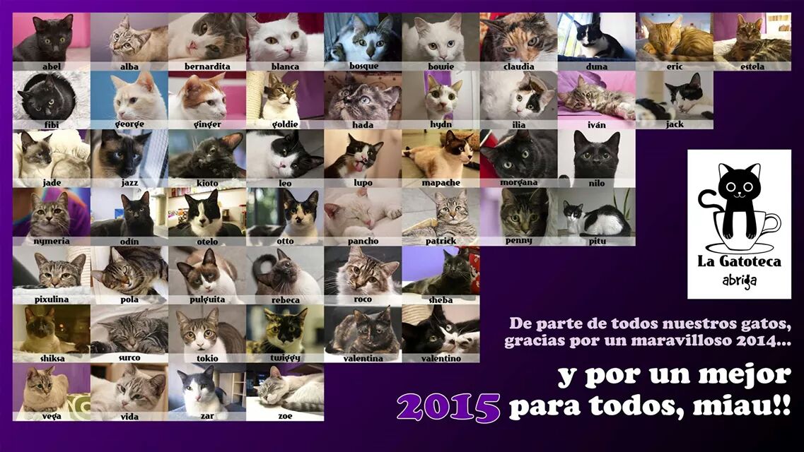 lagatoteca's tweet photo. Feliz 2015 a todos los gatetes y a los humanos que andáis con ellos! Que el próximo año sea todavía mejor que este ;) http://t.co/GuzCbTF9Ow