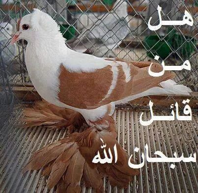 kk32506322's tweet photo. http://t.co/QKDIwQjIBI