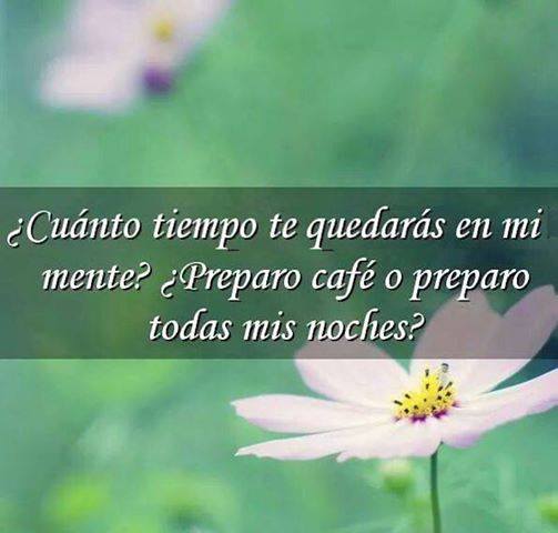 Enlace permanente de imagen incrustada