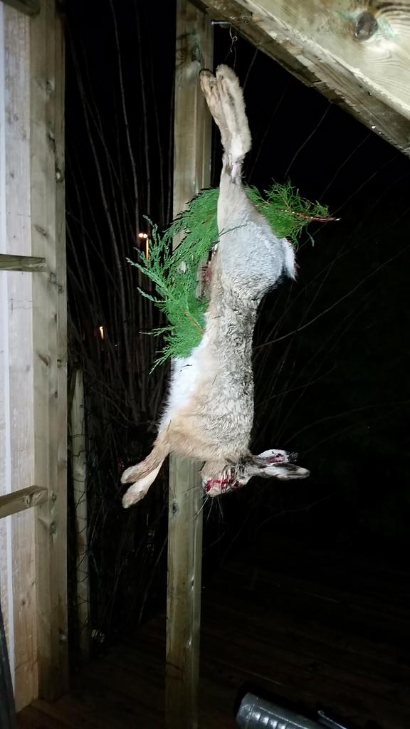Swedishlily's tweet photo. New years eve catch. #insideeveryswedethereisahunter http://t.co/vqM1uo9kPL